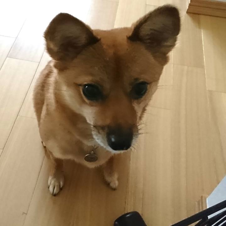 C771c06e c1f5 42ee a58e df01e5f7d385 1537075710708