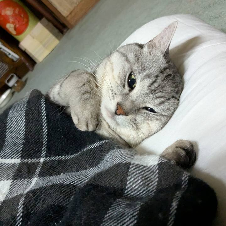 C7720648 1051 419d b8b8 7e469afac2dd 1771388460693