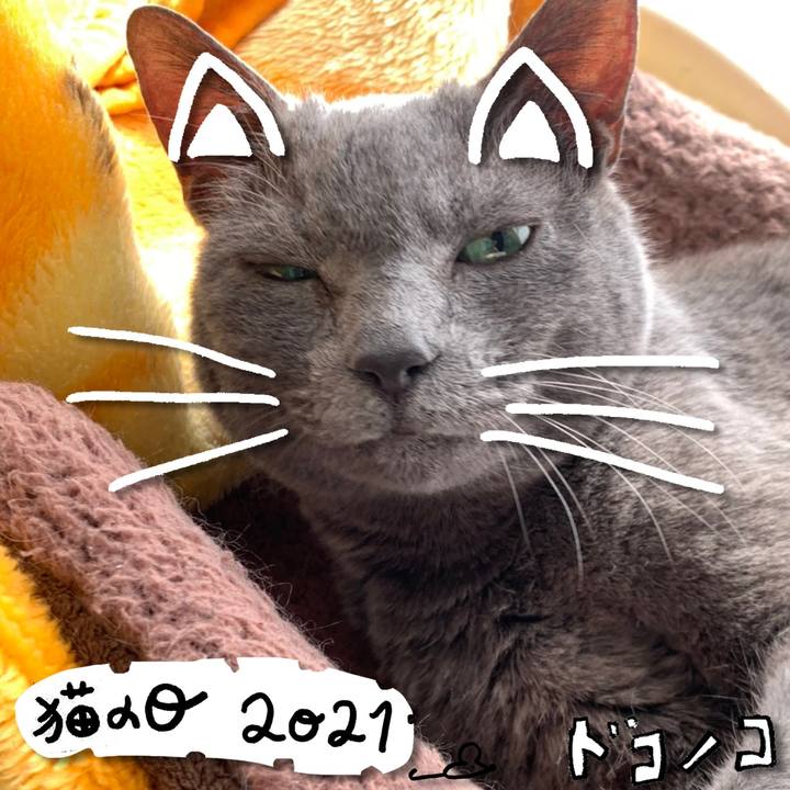 C7723c92 d15c 4f1d a5f3 32e4124f5d86 1613965960952