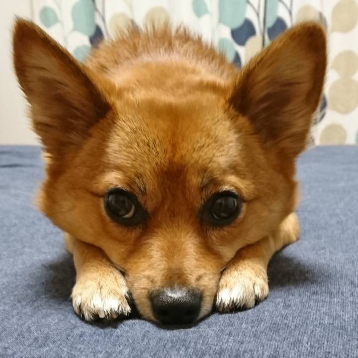 C77241c0 206e 483d 9ca8 556d30a48803 1526658990909