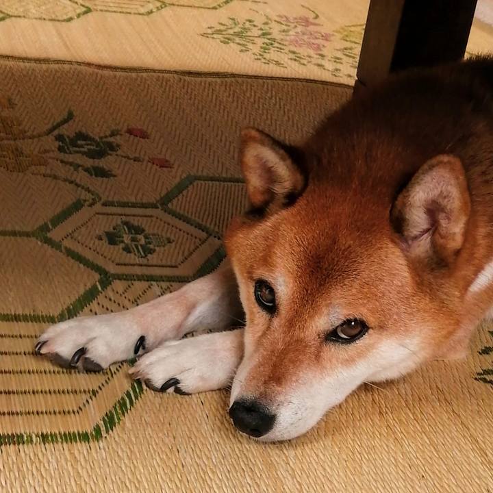 C7724964 daad 4204 943a 1ed312c25c43 1632553926201