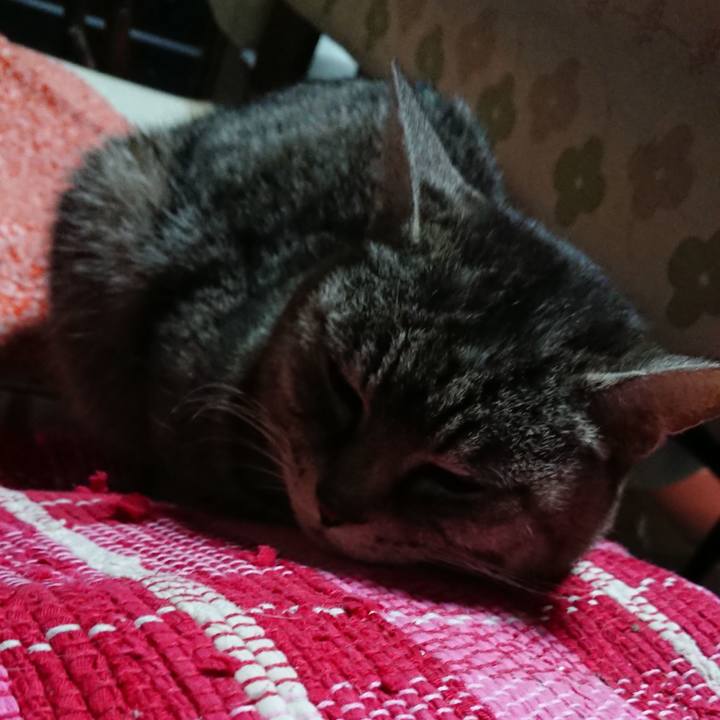 C7729d4c b47b 4758 be94 9cba4677ca02 1552252292434