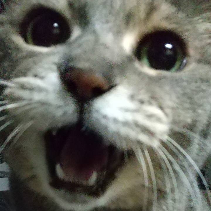 C772ab50 9977 4b49 bf21 71da10a8d19e 1634335510714