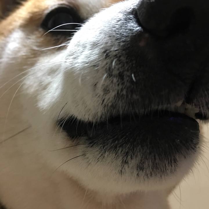 C772b268 2376 4fcc 95f7 a7fb658299be 1523358187804