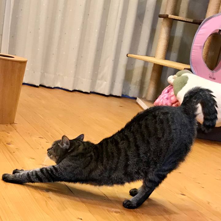 C772eea4 c73e 4eea 979c b09267ca4d76 1582540625570