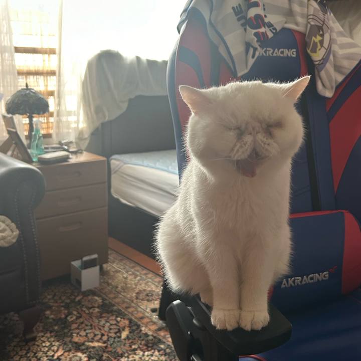 C77302d9 b702 4eaa 9c3e 1005b5957679 1720611973567