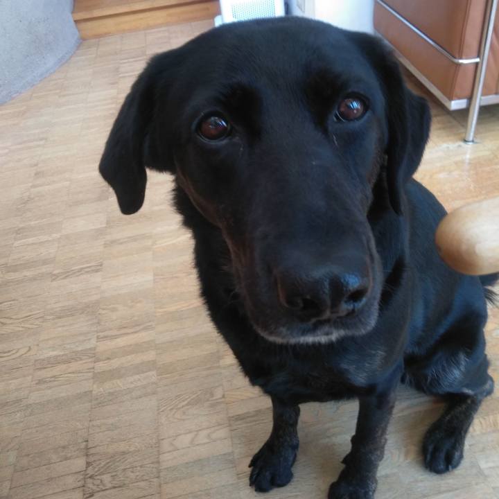 C77309d5 745f 4f21 899d 6dee28a3bae9 1586839278138