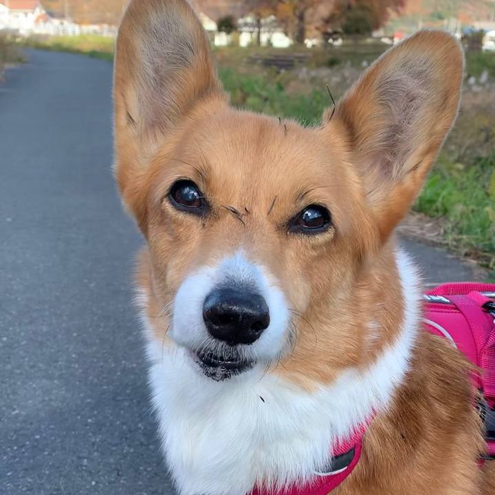 C7731b73 f03c 4e8c 9cc8 10ea415d82bd 1637979883126