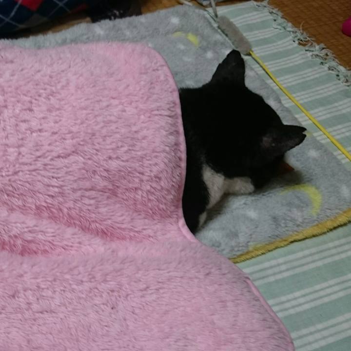 C77322c4 dd92 436d aa74 509eba266e27 1510631291066