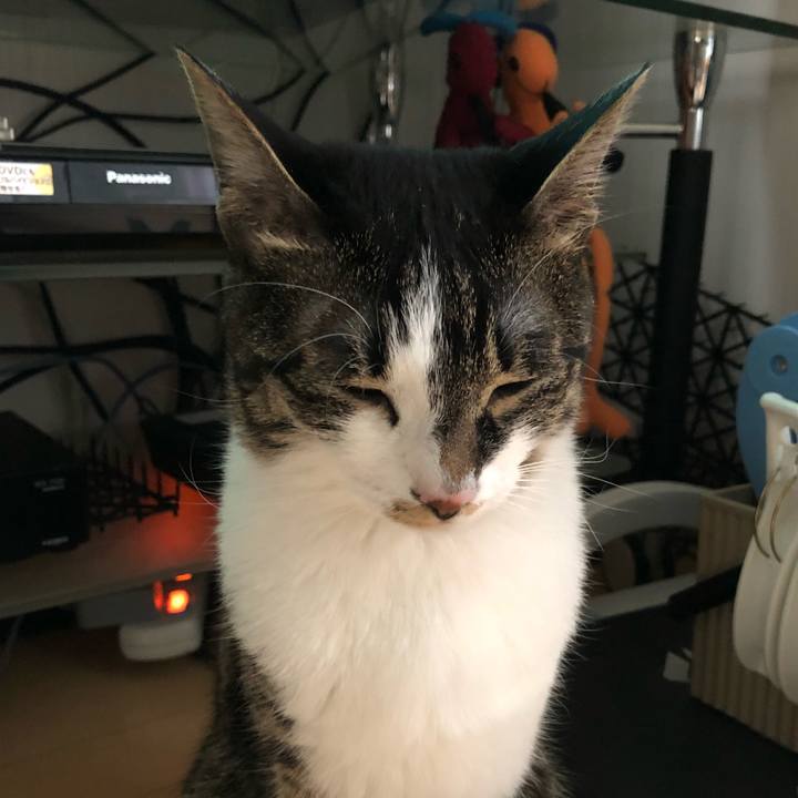 C7737b67 78ba 4f7e a060 6540a56b9248 1523865584885