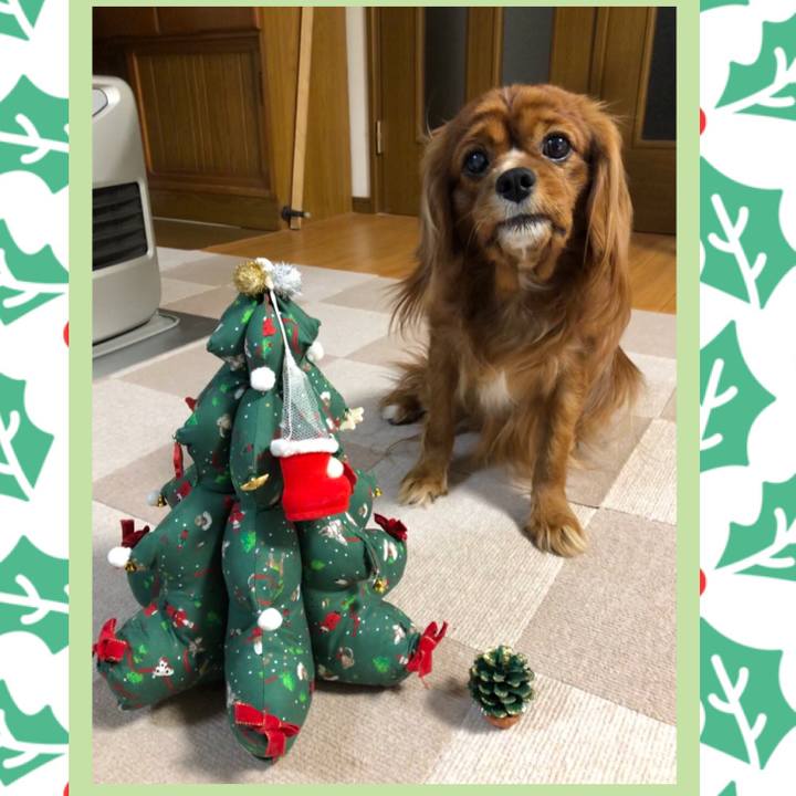 C773a8ab 3c7c 4908 84ce 6fcd360570fa 1577225680243