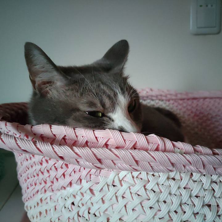 C773b389 2ef2 4197 8301 c5bed2f3545f 1693175251342