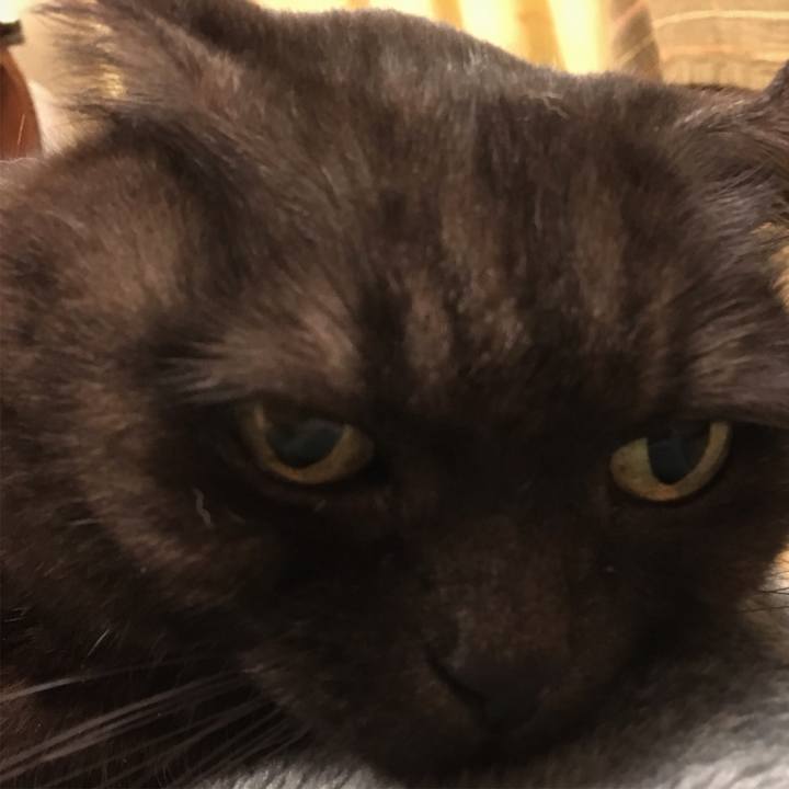 C773c34e 57f0 4011 988d df3572d85dc7 1549536840617