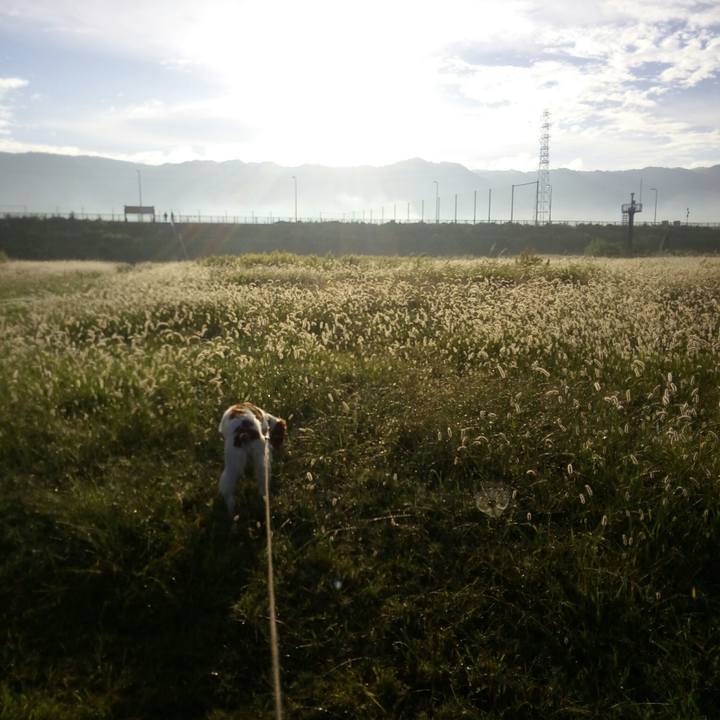 C773cc0f f03f 4d80 af08 c827b07fdcf2 1510489548385