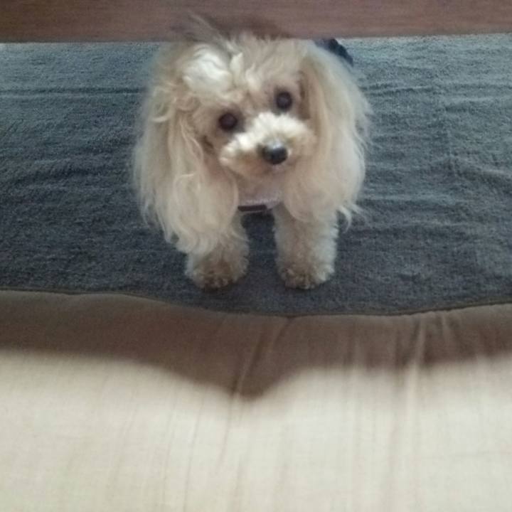 C773d534 0d1d 4bcb a093 7ecc2681e8e1 1532943816413