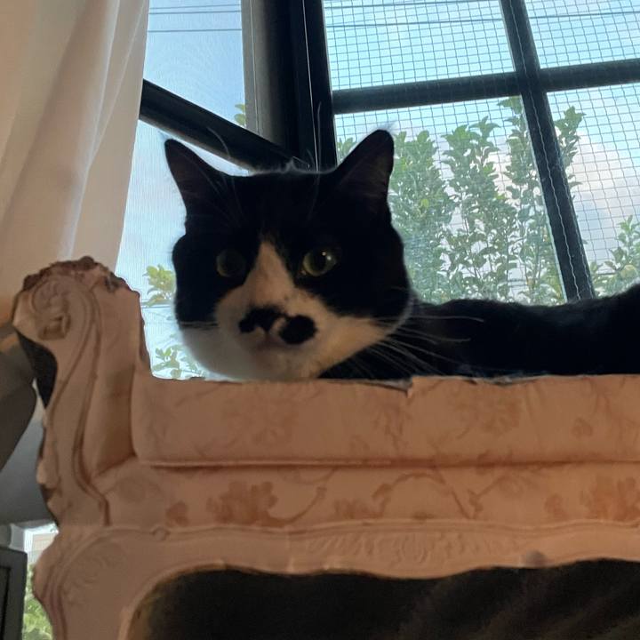 C773d552 8801 4e66 afe3 fd115d470f23 1725872324570