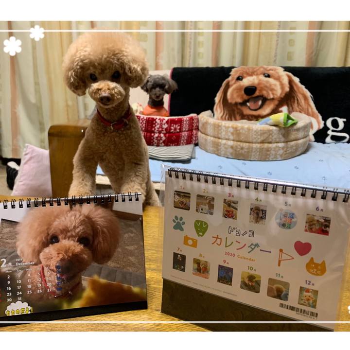 C7740a13 505a 4c5a 8cce 06f79eb90ab1 1575101765097