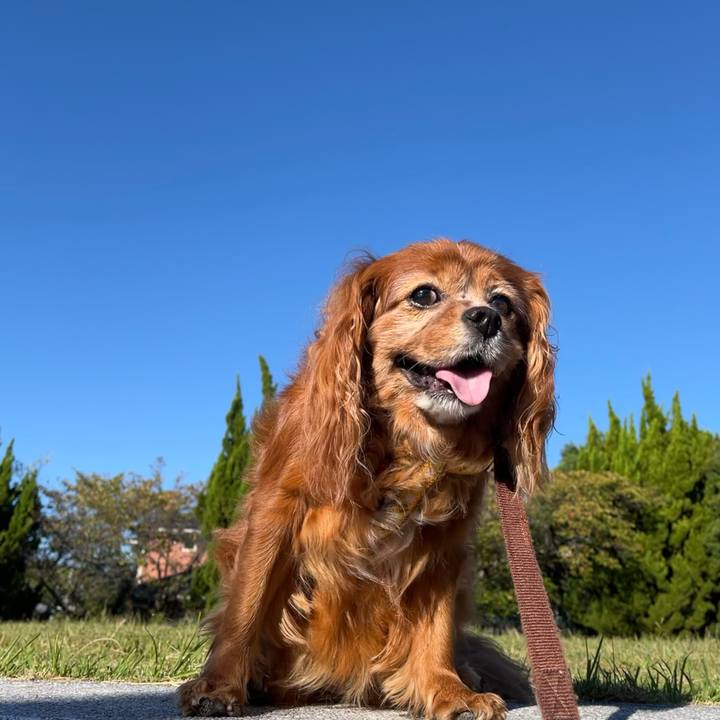 C77434fe 28b9 4fa8 9a8d e4769bfcbe64 1728776425761