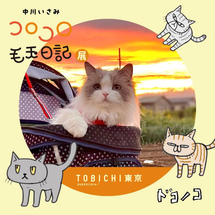 C7748eb6 e528 4ab4 92e5 3058e68e65a1 1740221310987