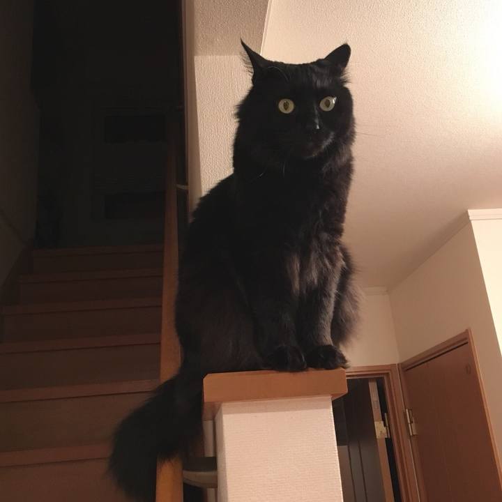 C77498e2 e19b 4eab 9ab0 85b600bf831e 1525439329262