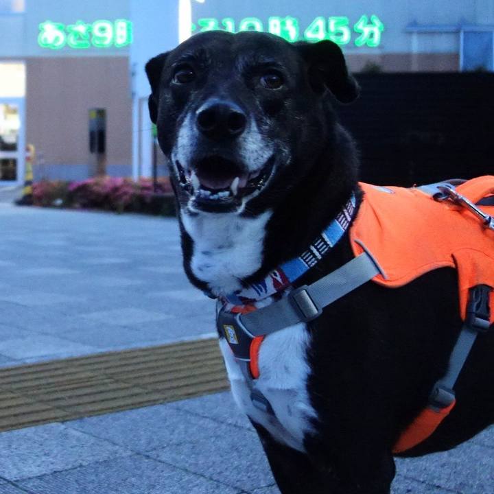 C7749d01 4525 4b4a a0a2 1a48e2360118 1748696503772