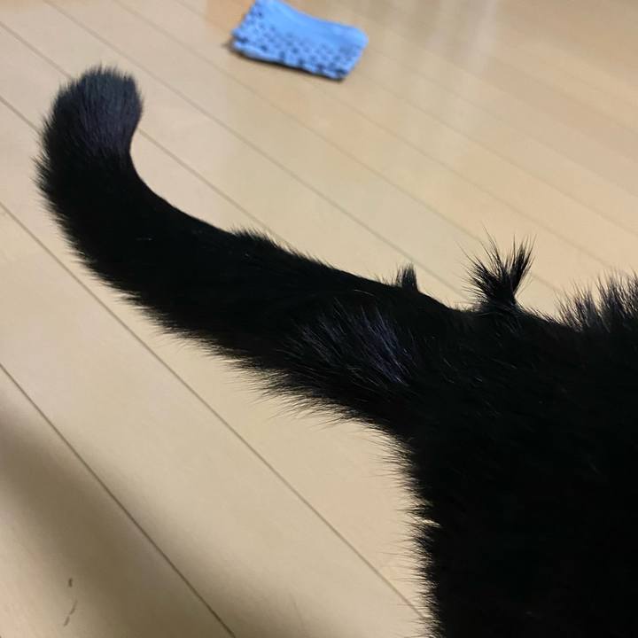 C7749fbe 6513 41ff bc26 5a986fadbc42 1674917456674