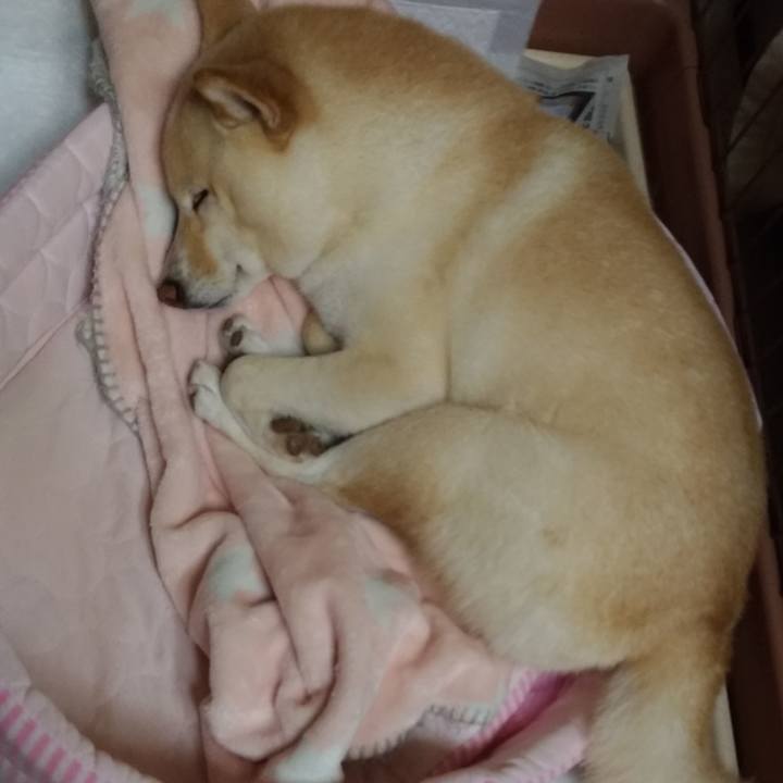 C774b087 93d7 4f48 8070 2130fd32b3a5 1601212123825