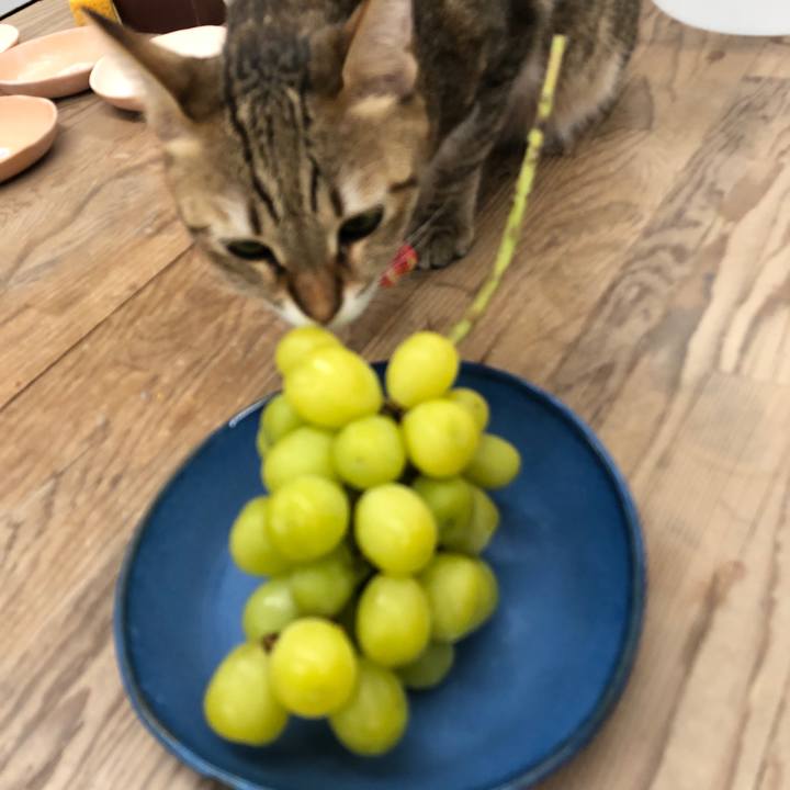 C774b700 d989 4b0c 8eb9 8b7599c35cfa 1635046036724