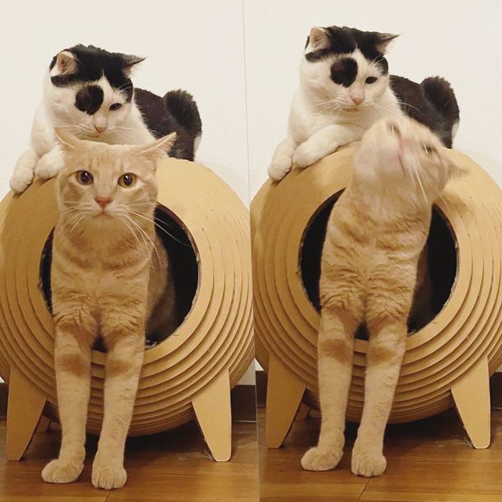 C774c072 5a0c 4466 b349 5c640b627848 1629290189053