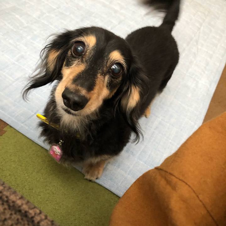 C774d812 922d 40f2 9310 bb820a1ebf50 1600993646161