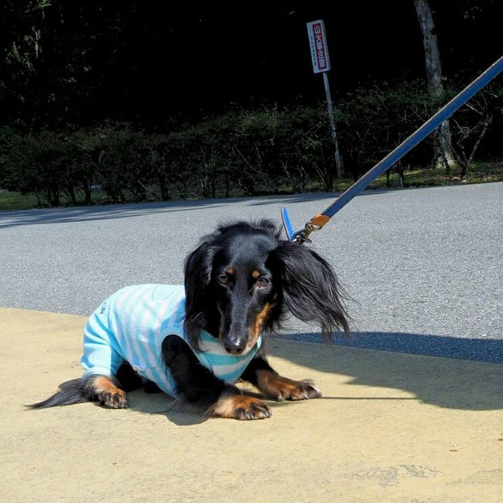 C7750ab8 b126 4238 8a33 95df9cb37105 1572675284421