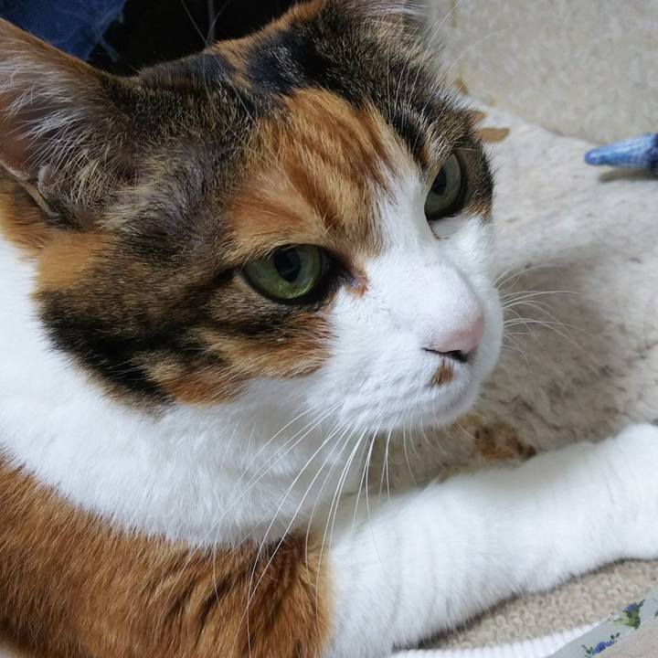 C7750c83 2b88 4ddd 99fa 74c564a52016 1536671990865