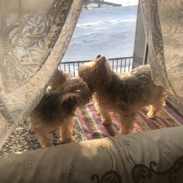 C77510f9 1f89 4bcb 9cc1 60e434fff93a 1584179771061