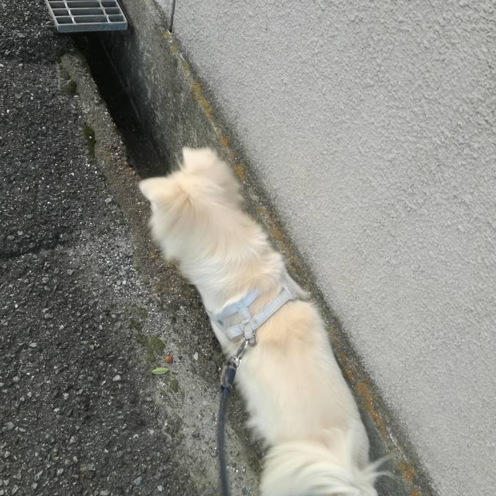 C7751f2d d20b 4ec6 8d36 f1e2f12c0d41 1509094474668