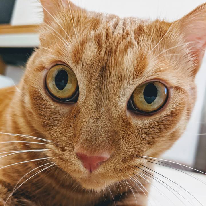 C7752f62 21bb 4701 8efc 5c270ad26c00 1627470841910