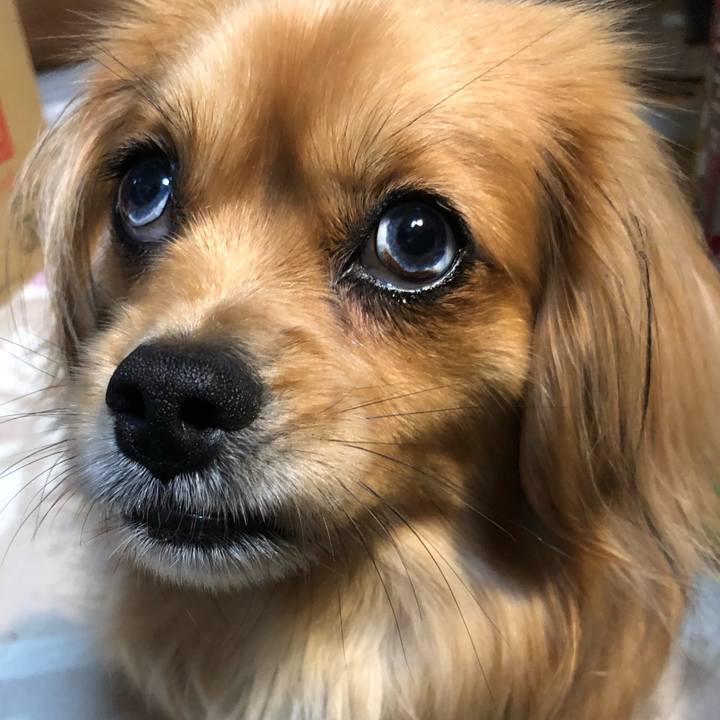 C7756488 2629 4e33 a73d ffb8ceec01a5 1555841785791