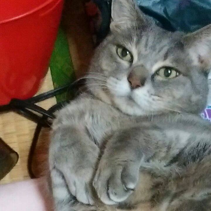 C7759665 4cd3 407c ad8c a29566bfdcbc 1547695514090