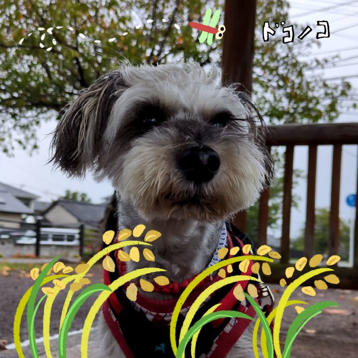 C775b6fc cdd3 416e b88d 822558f24238 1761144612679