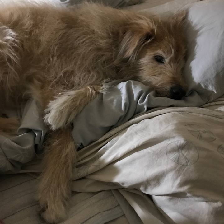 C775bf2c 64b4 43d8 9223 6745255573e2 1557015481222