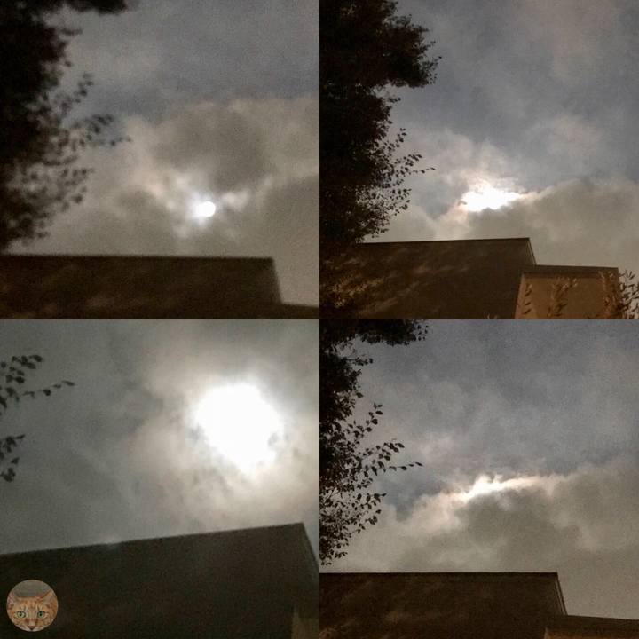 C775d41f 3e68 4c9b 9dd2 45e76edcca7d 1537794522609