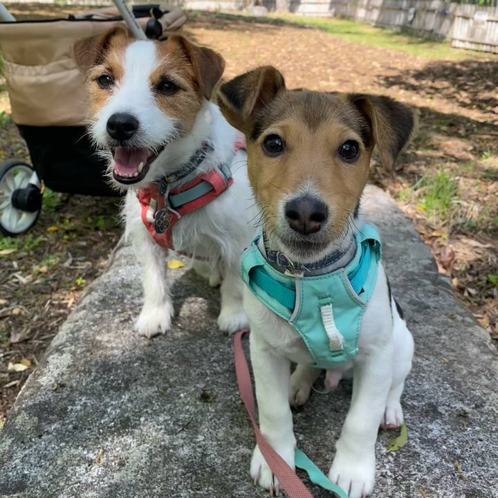 C775dea4 d810 4b04 b873 ff5b3bc0d6b0 1745741957711