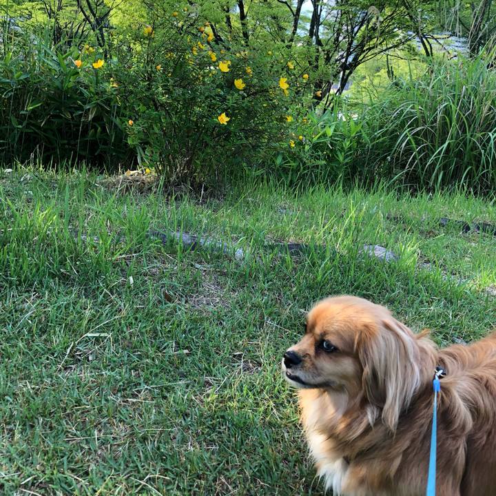 C775e3f5 8157 447e ad16 a04f80b435a1 1559598331469