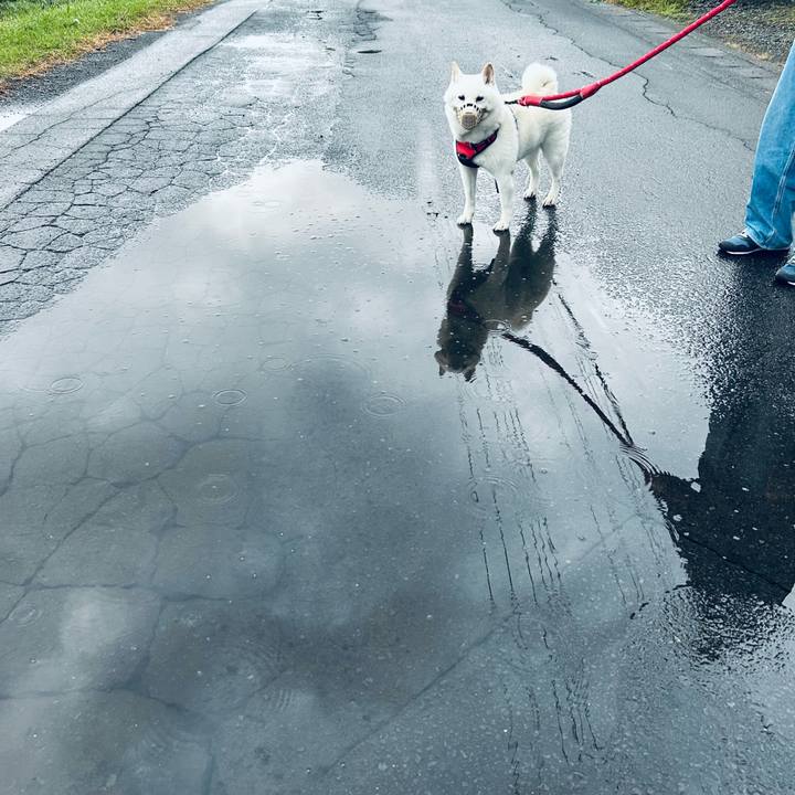 C775e59d 49d8 4f26 87b2 c505bc868349 1760650828446