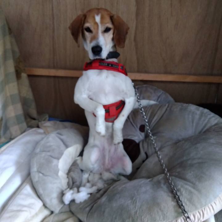 C775e673 b6a3 43c9 88fd e528248bbc9c 1707389187018