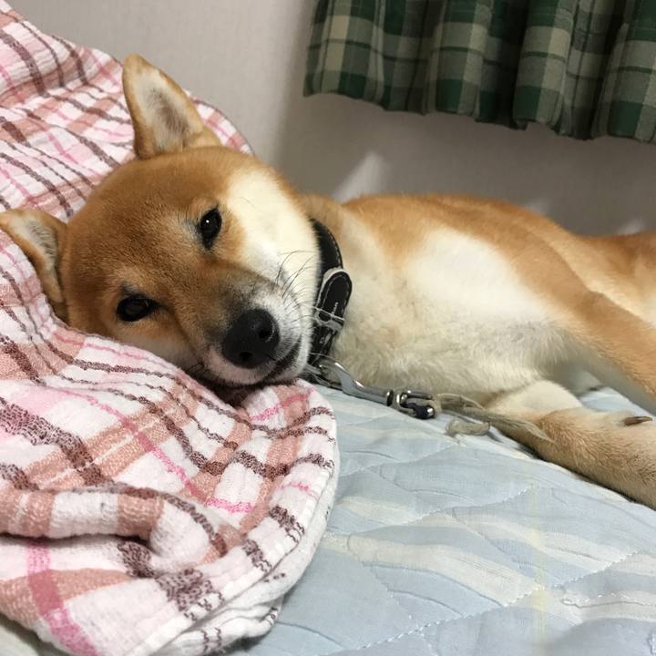 C77631e4 a8b1 4bf7 8b9f 65e1a2b1457f 1537840810408