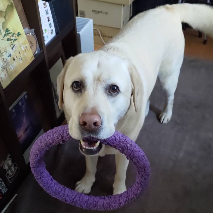 C776367e eb4b 4af3 8b56 c31acccd66aa 1646970945745