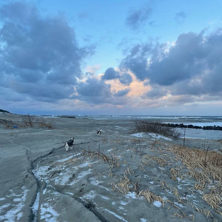 C7763a5c 5930 4081 a196 3809564ef93a 1769125664680