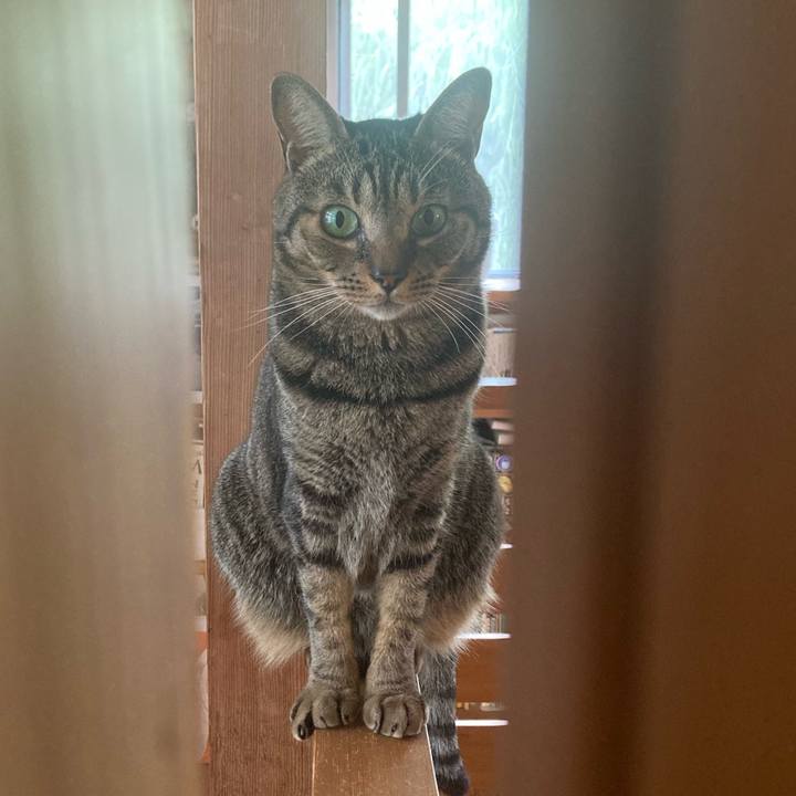 C7764da9 0716 405d 9a9c 7140a18b14b6 1748653793513