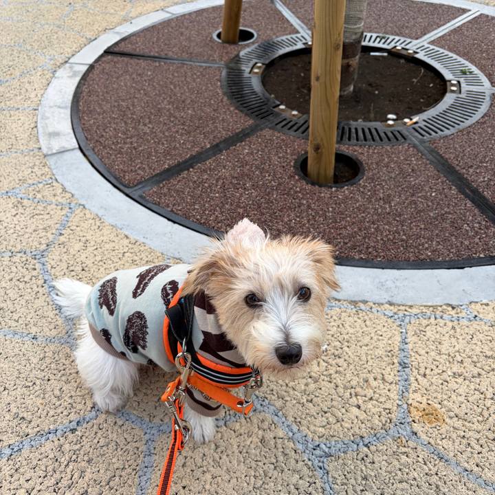 C7764f42 0079 4244 b221 7e51d3a4ef7e 1762591322385