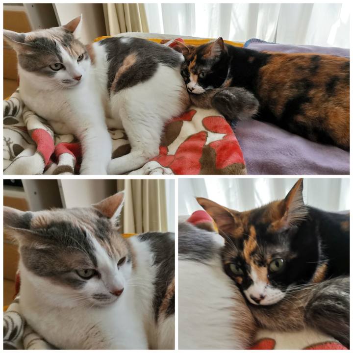 C7767f3b 73fe 4c44 b1fd 9cde7b729bbd 1680754878699